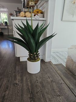Artificial Agave