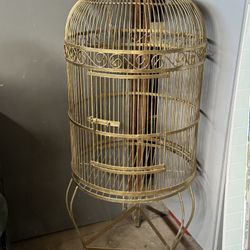 Parrot Cage