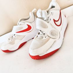 Kids  Shoes Nike Team Hustle D 11 $25