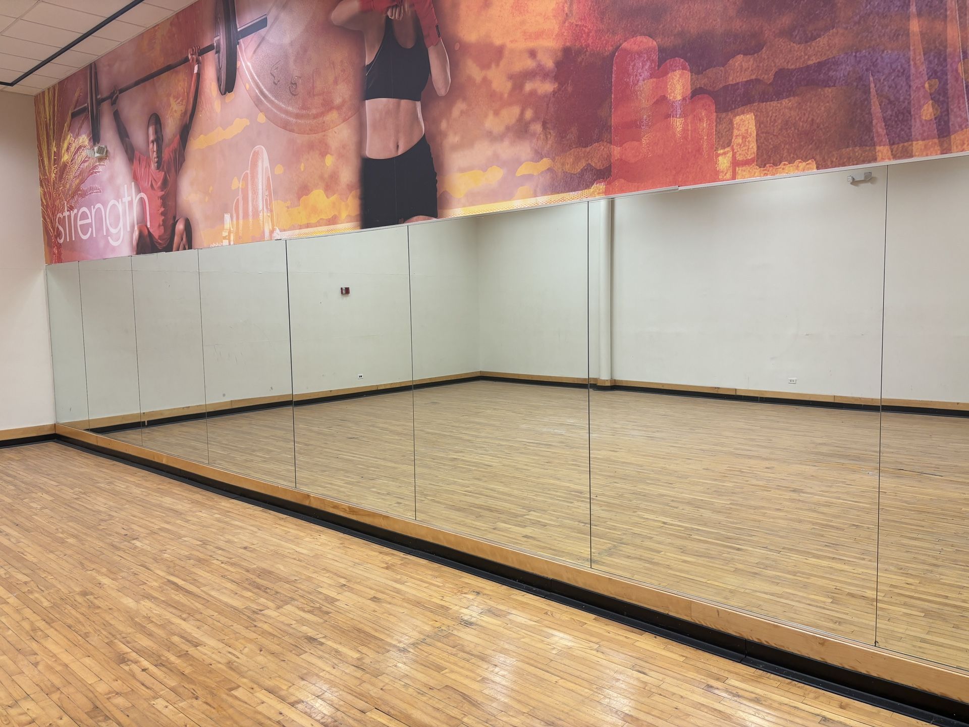 Large Mirrors Over 5ft Home gym, Mirror Walls