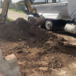 Dump Truck With Bobcat/ Excavator 