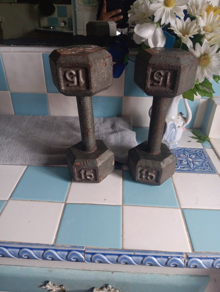 15 Lb Dumbbell Set