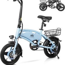 Electric Bike