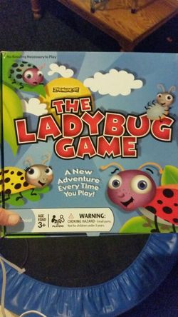 The Lady Bug Game