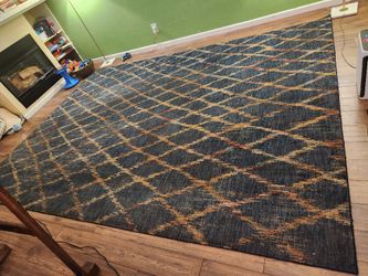 9x12 Beatiful Plush Rug