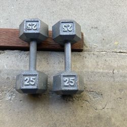 Weights 25lbs Hex Pair