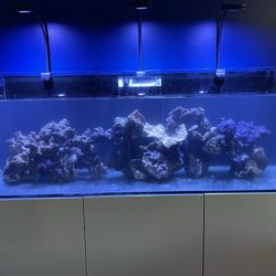Fish Tank Red Sea 750xxl