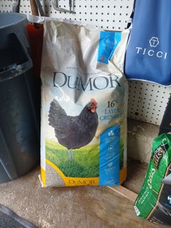 Chicken and Animal feed