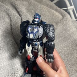 Transformers  Kingdom Optimus Primal Action Figure