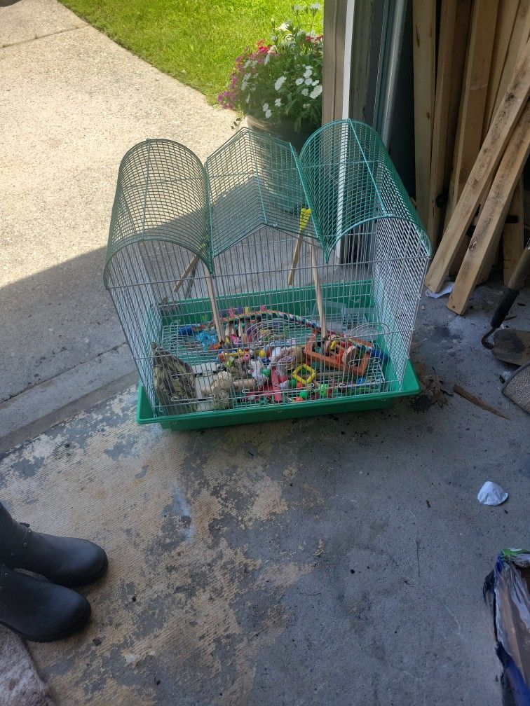 Cage for the birds