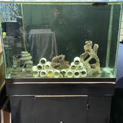 35 Gallon