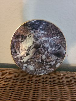 porcelain collectors plate