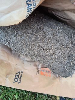 Zoysia  sod