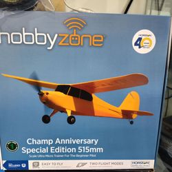 RC electric airplane for beginner hobby zone champ bind and fly