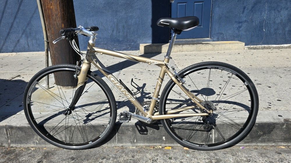 Giant Road Bike