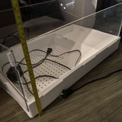 Turtle, Lizard, Habit, Enclosure, Tank