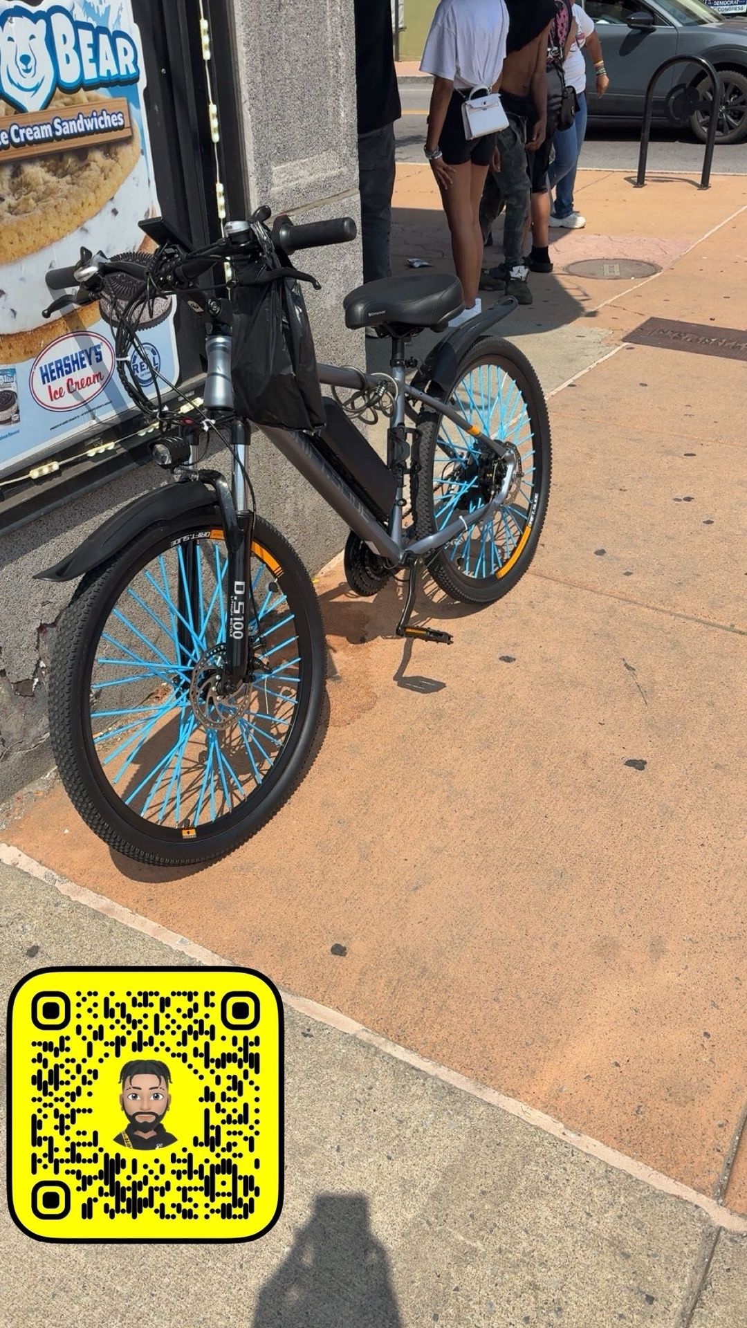 Electric Bike