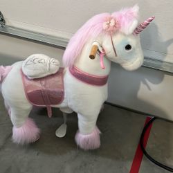 Cycle pony