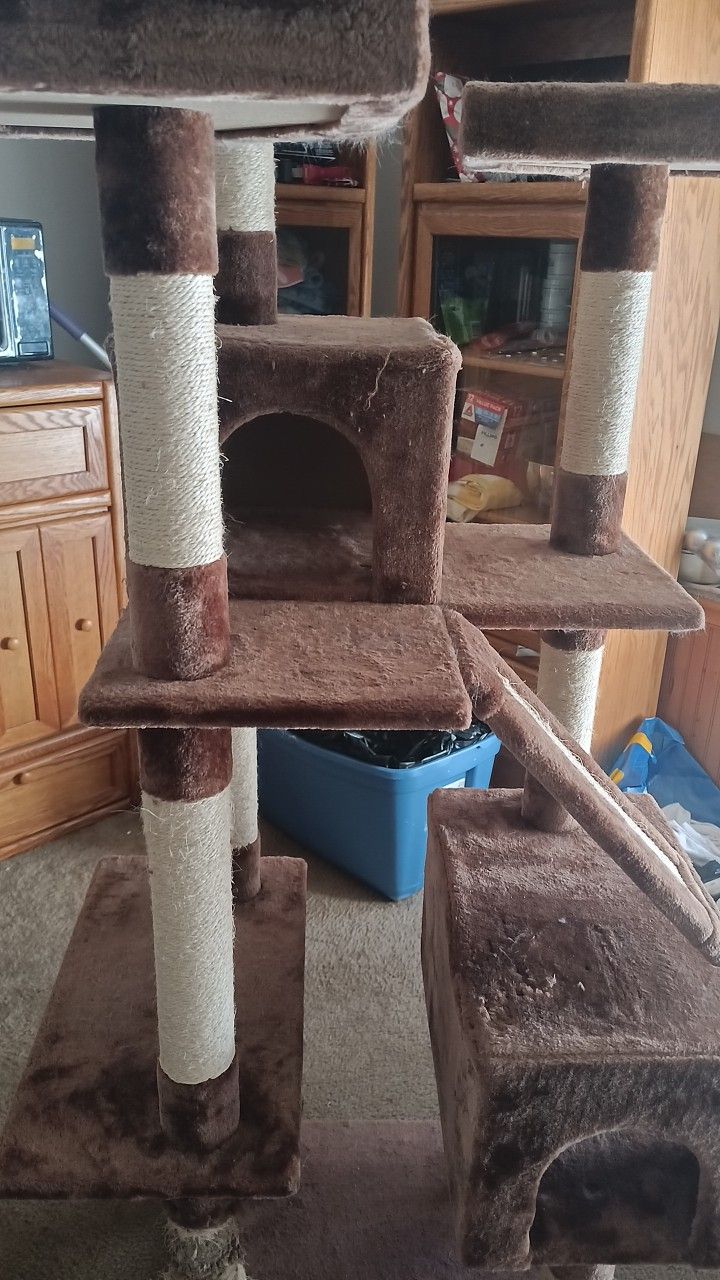 Cat Tree