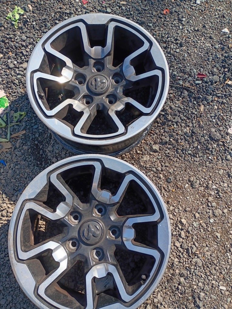 RINES RAM REBELD 2020