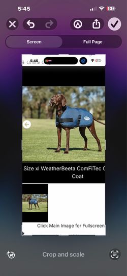 Weathwebeeta  waterproof dog coat -XL- navy