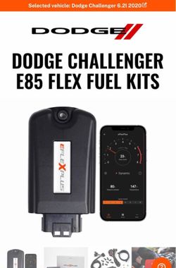 E 85 flex fuel kit