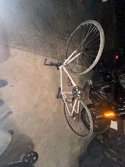 Masi bike