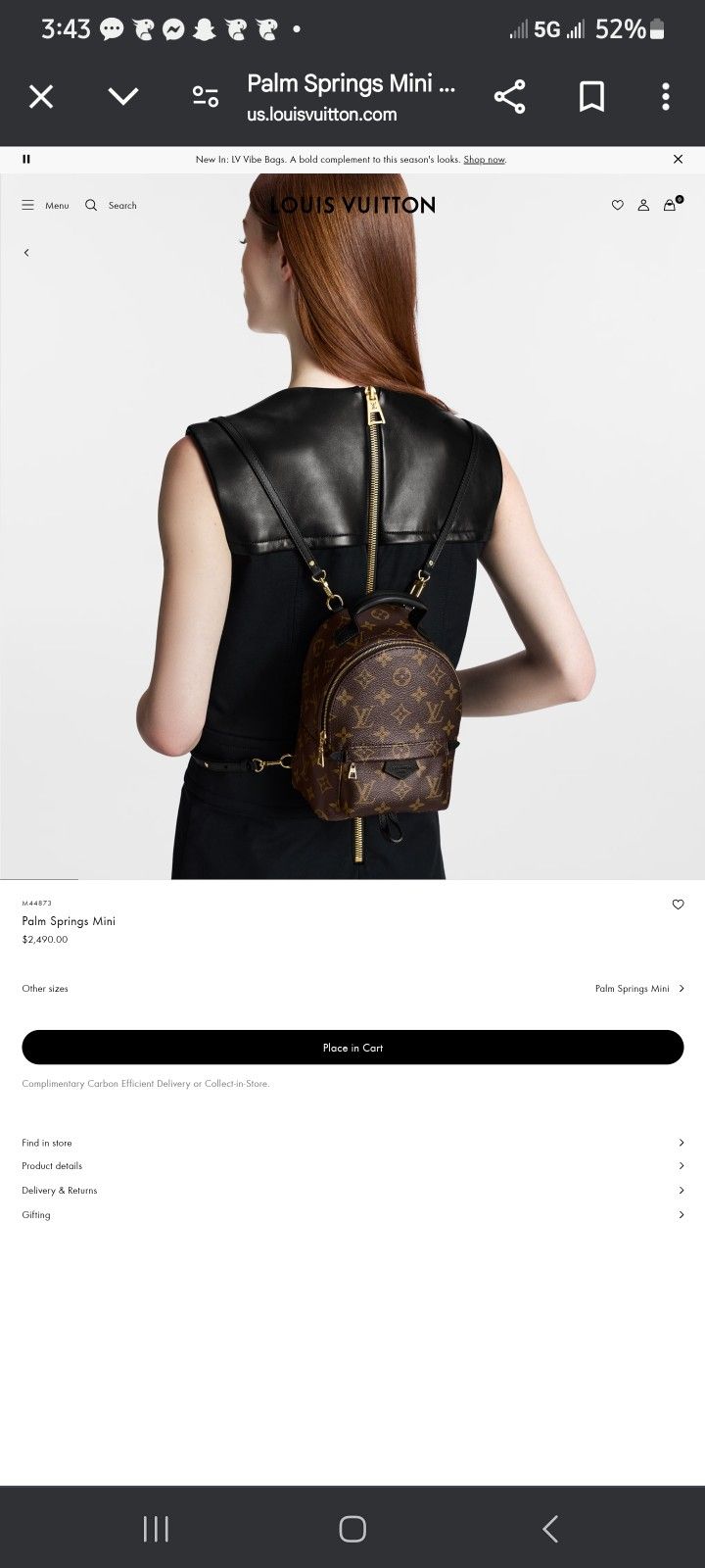 Louis Vuitton Backpack 