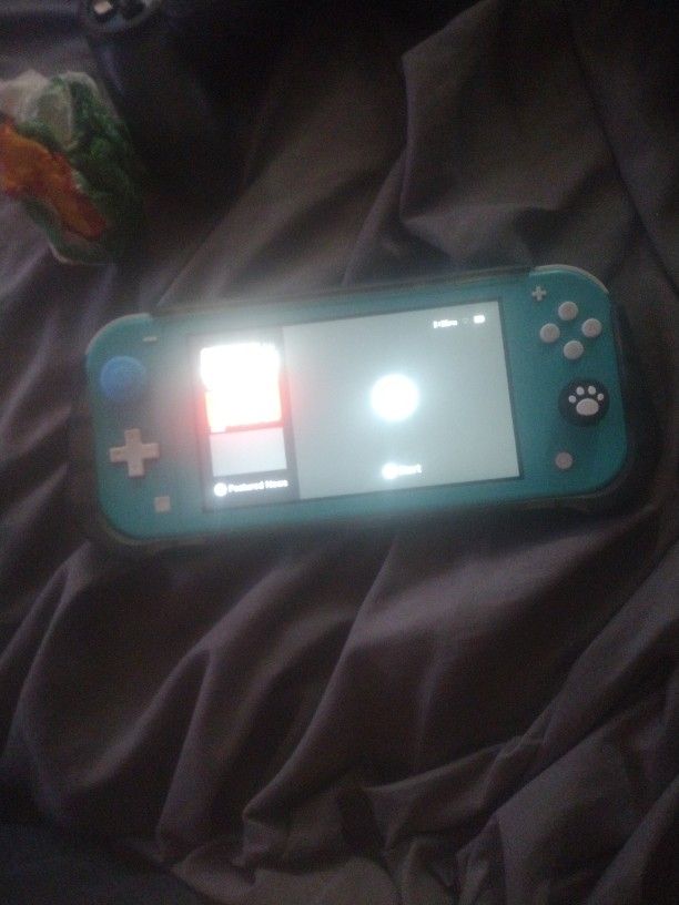 Nintendo Switch Lite