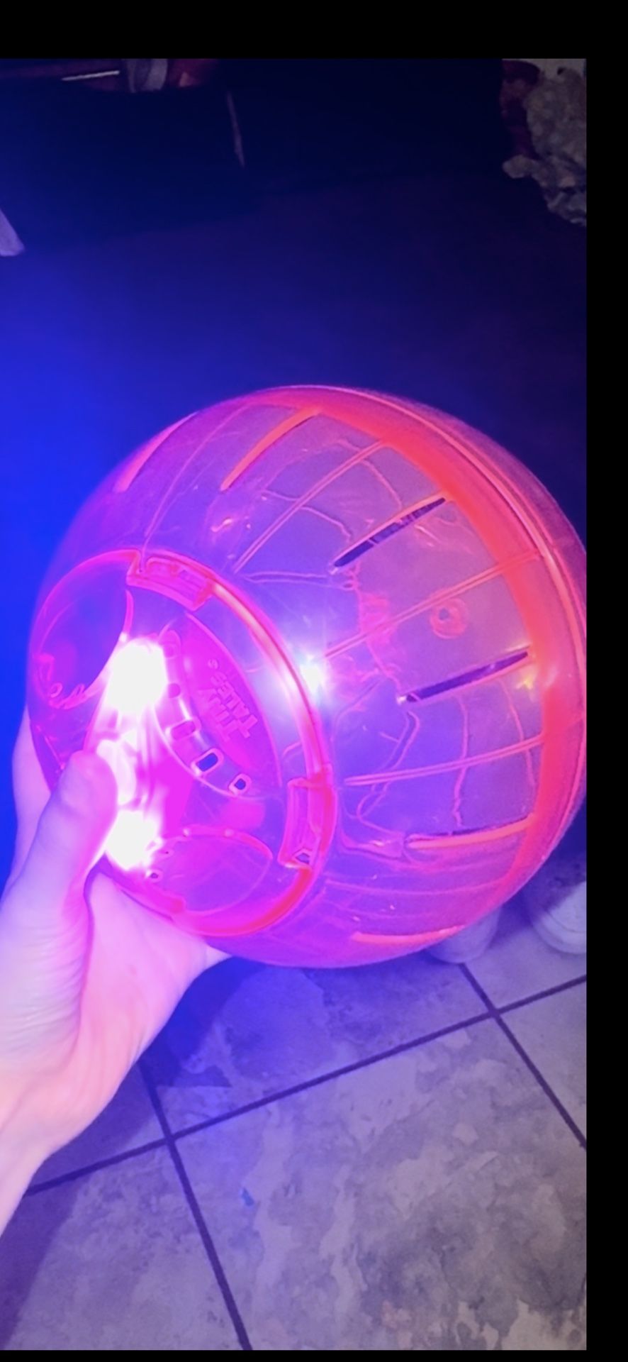 7 Inch Light Up Hamster Ball