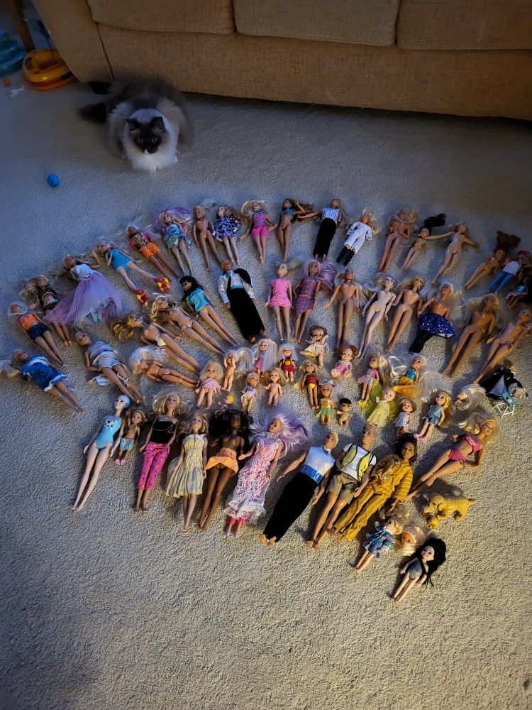 Barbie Dolls...