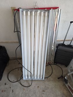 T8 grow light plants