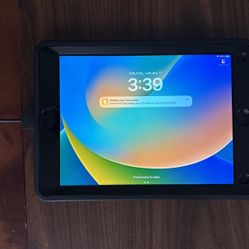 iPad 5th Generation Version 16.7.10