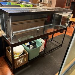 125 Drilled Fish Tank