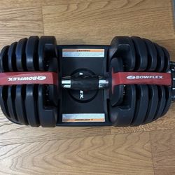 Bow Flex 552 Dumbbells Pair