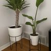 HomeDecor