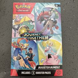 Pokémon journey together
