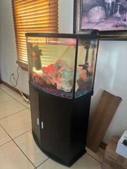 25 Gallon Fish Tank for Sale