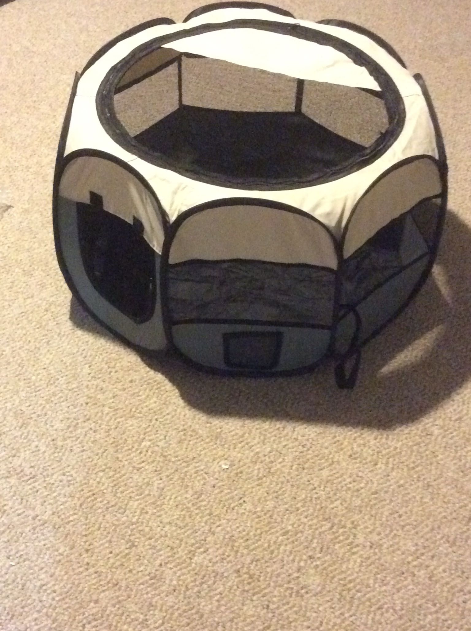 Pet Play Tent