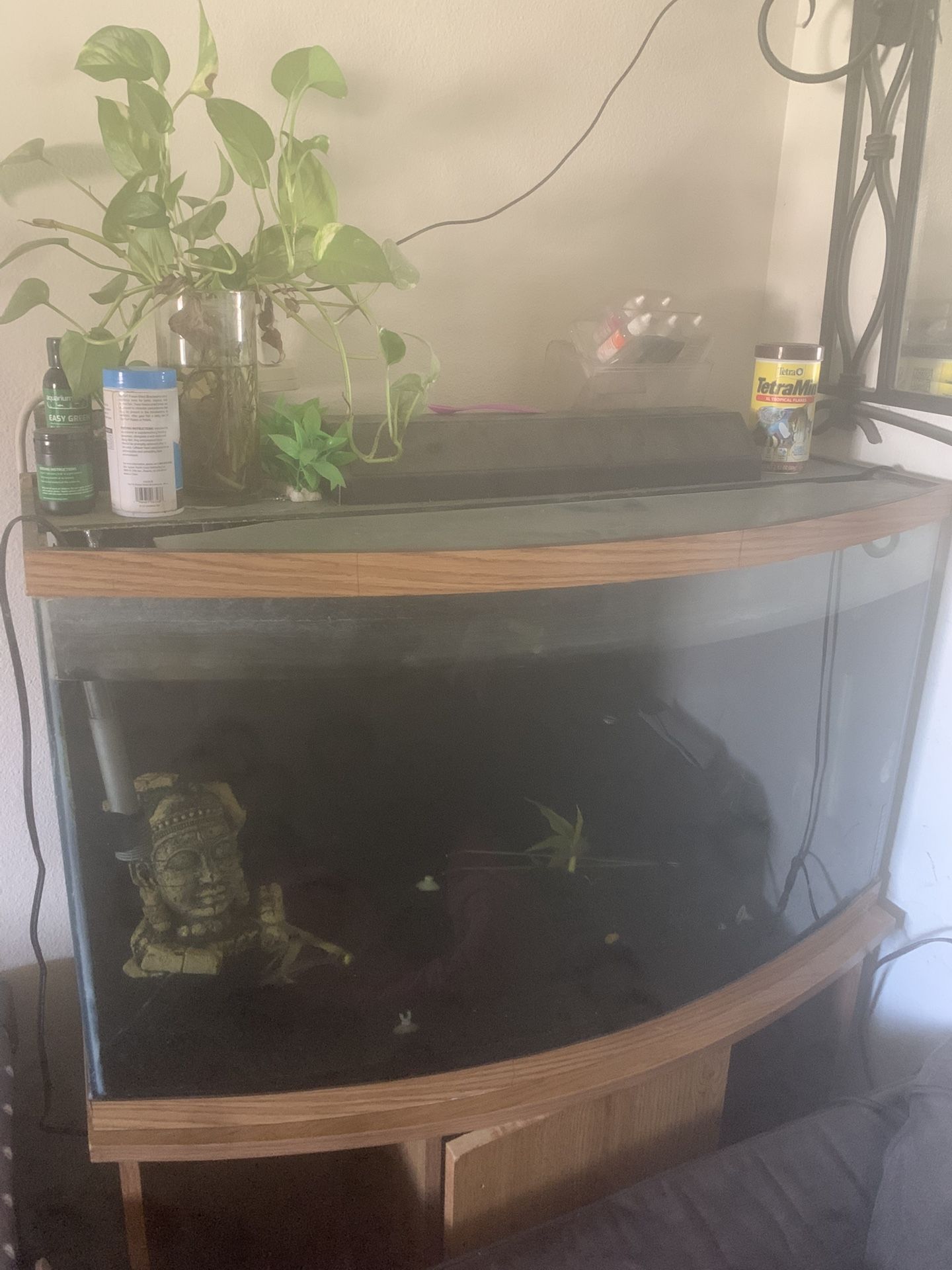 Fish Tanks