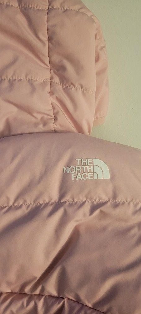 The North Face Jacket in Pink Color