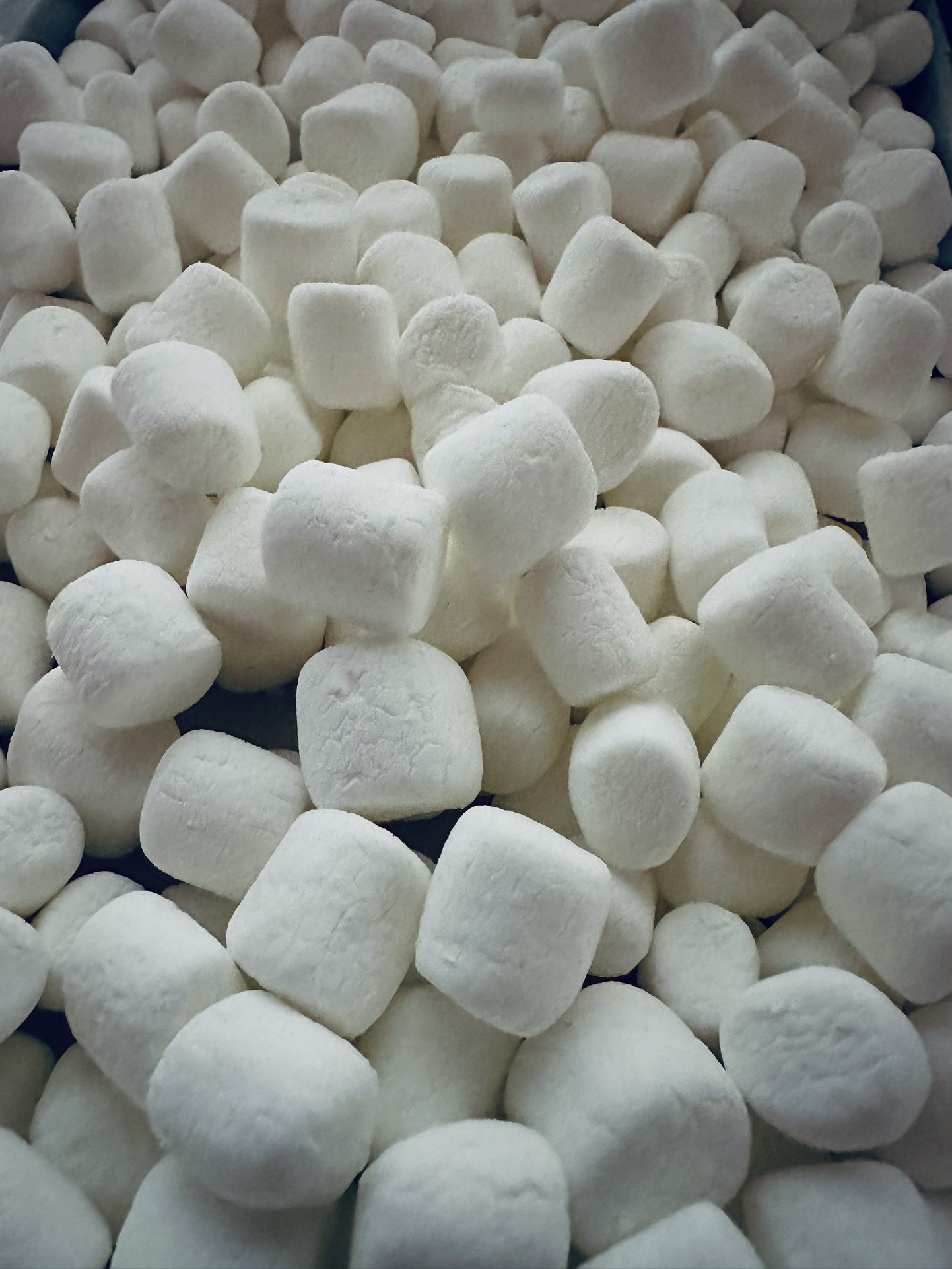 FREEZE DRIED Mini Marshmallow!