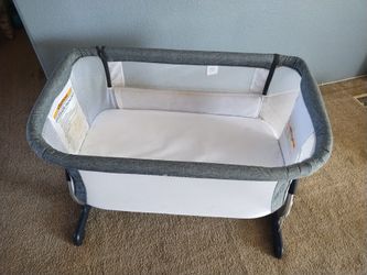 Baby delight Bassinet