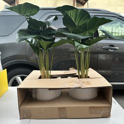 Alocasia Artificial Plant - Threshold™