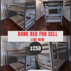 Bunk Bed 