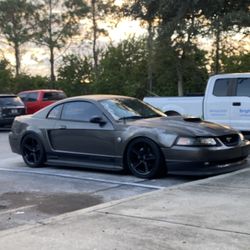 2004 V6 Mustang 