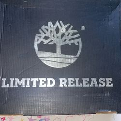 Ghost White Timbs 9.5 