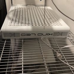 KIND LED Grow Light OBO
