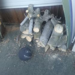 Free Firewood