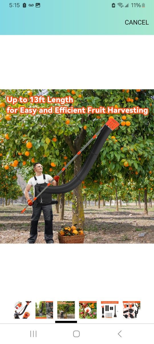 13ft Fruit Picker $15